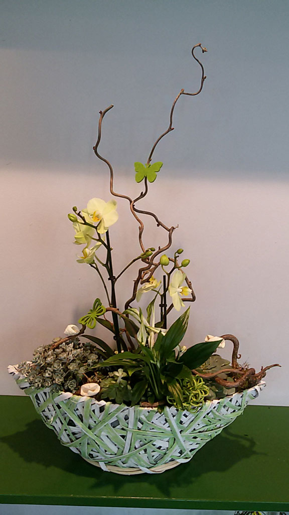 Einpflanzung mit Orchidee