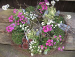 gepflanzter Blumenkranz