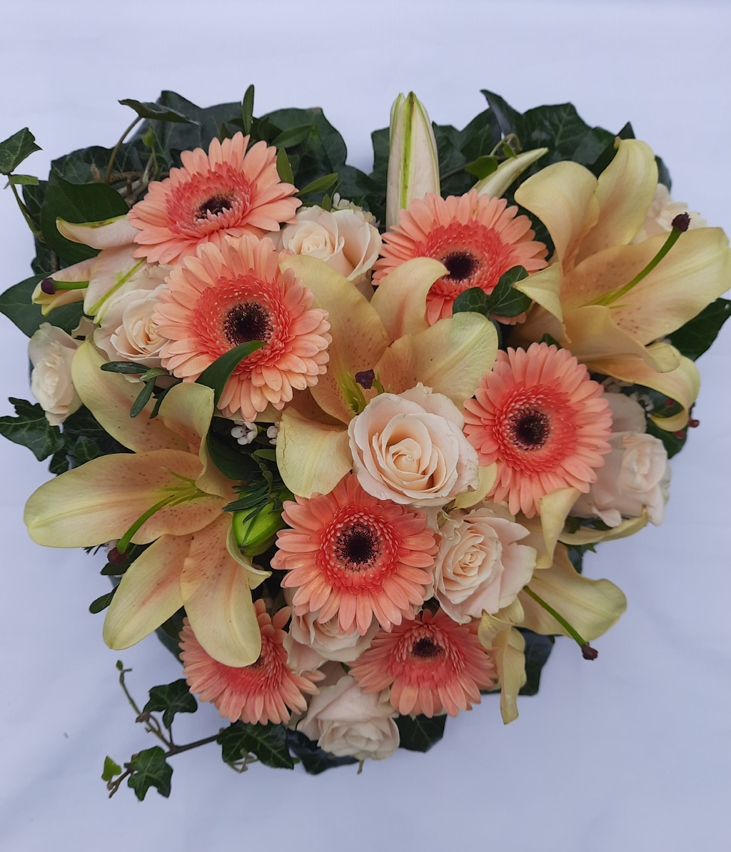 Gestecktes Herz in lachs-apricot