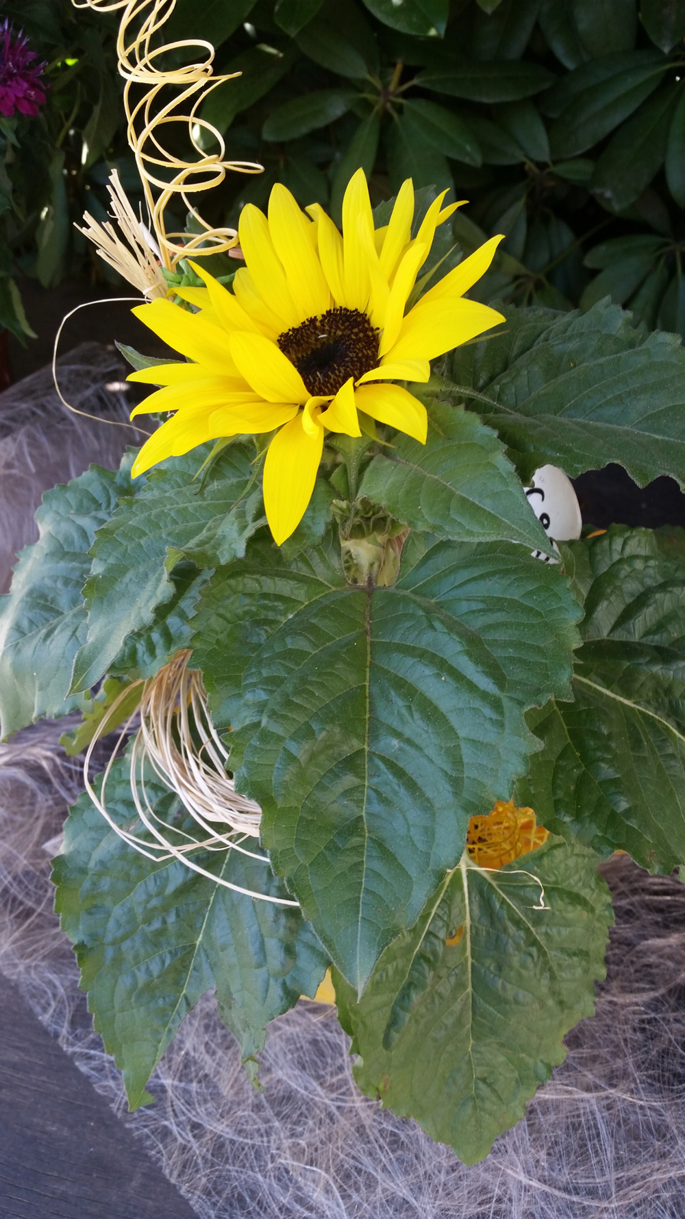 Die Dekoidee für Ihr zu Hause